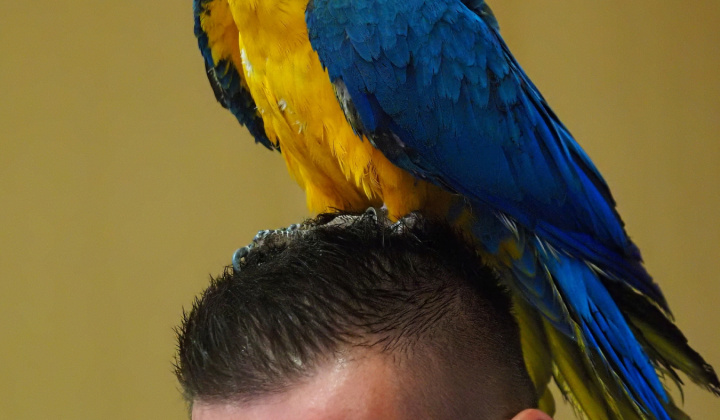 Zobraziť fotografiu
