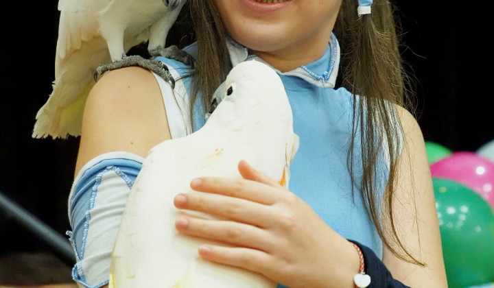 Zobraziť fotografiu