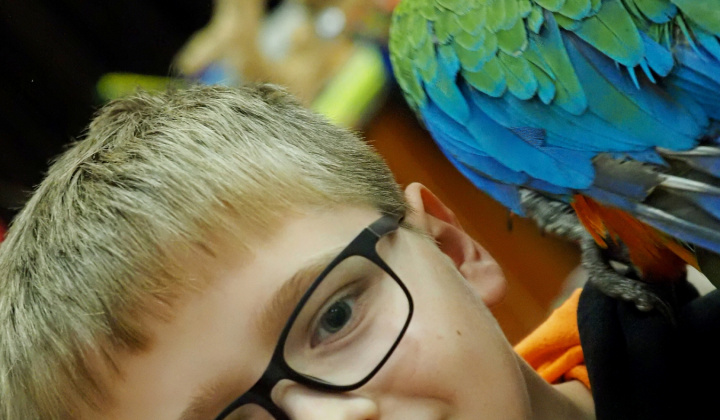 Zobraziť fotografiu