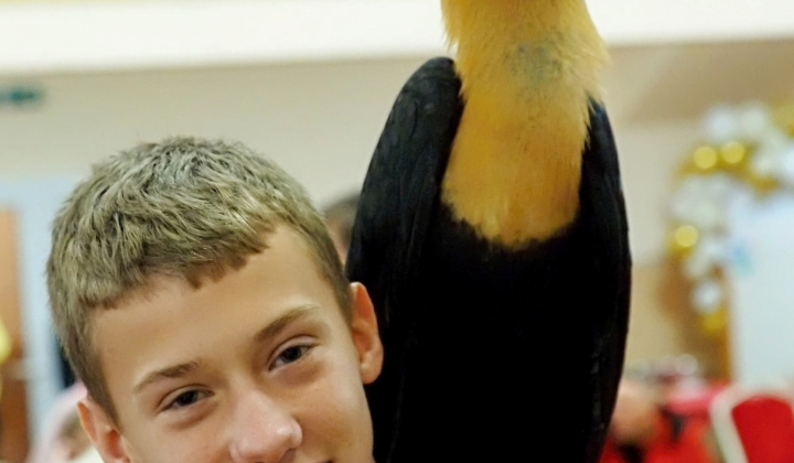 Zobraziť fotografiu