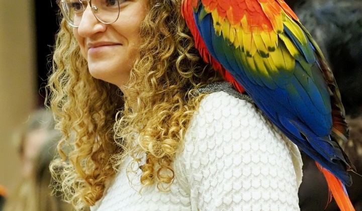 Zobraziť fotografiu