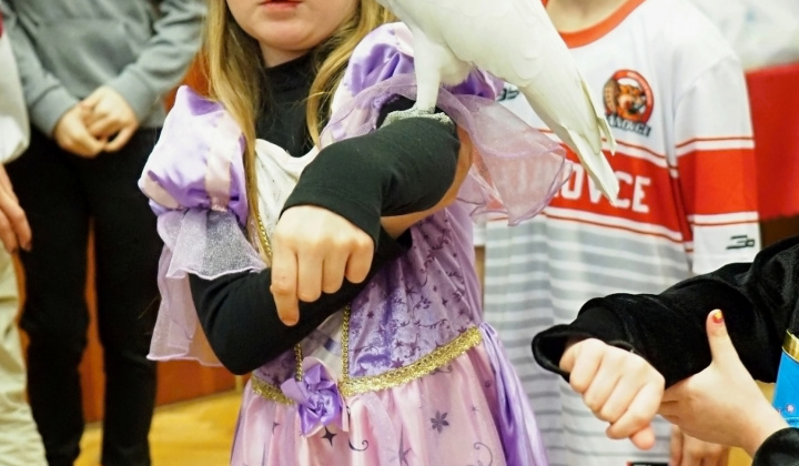 Zobraziť fotografiu