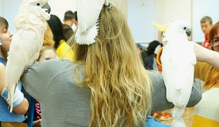 Zobraziť fotografiu