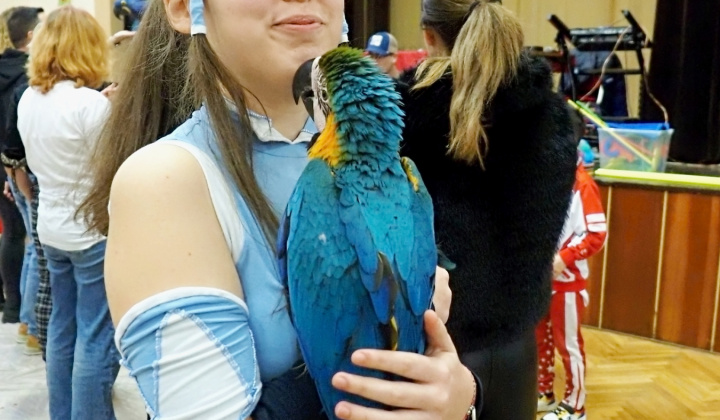 Zobraziť fotografiu