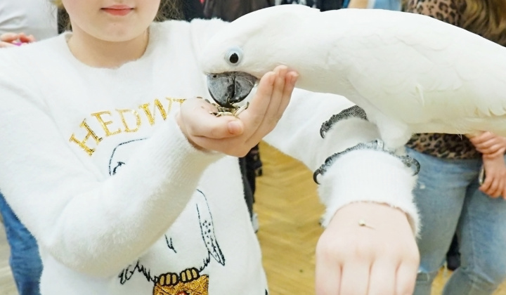 Zobraziť fotografiu