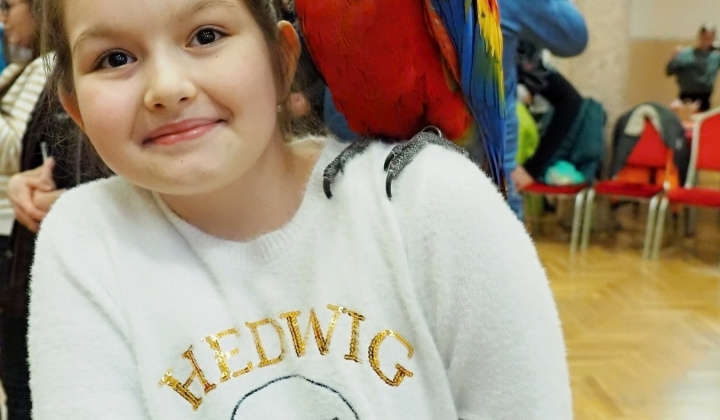 Zobraziť fotografiu