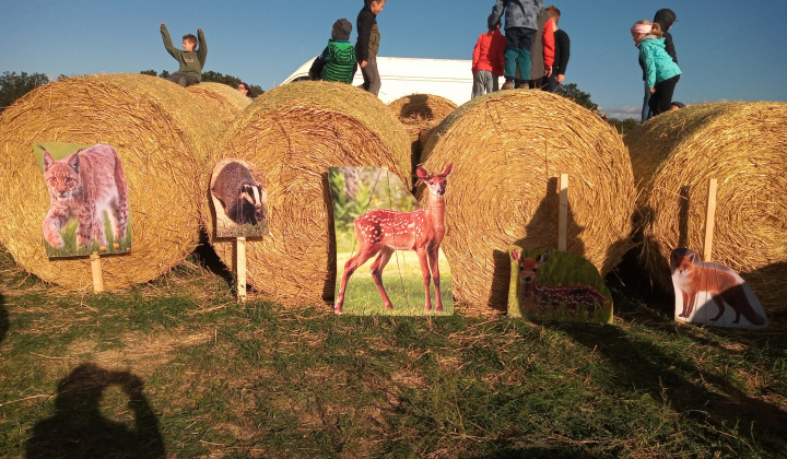 Zobraziť fotografiu